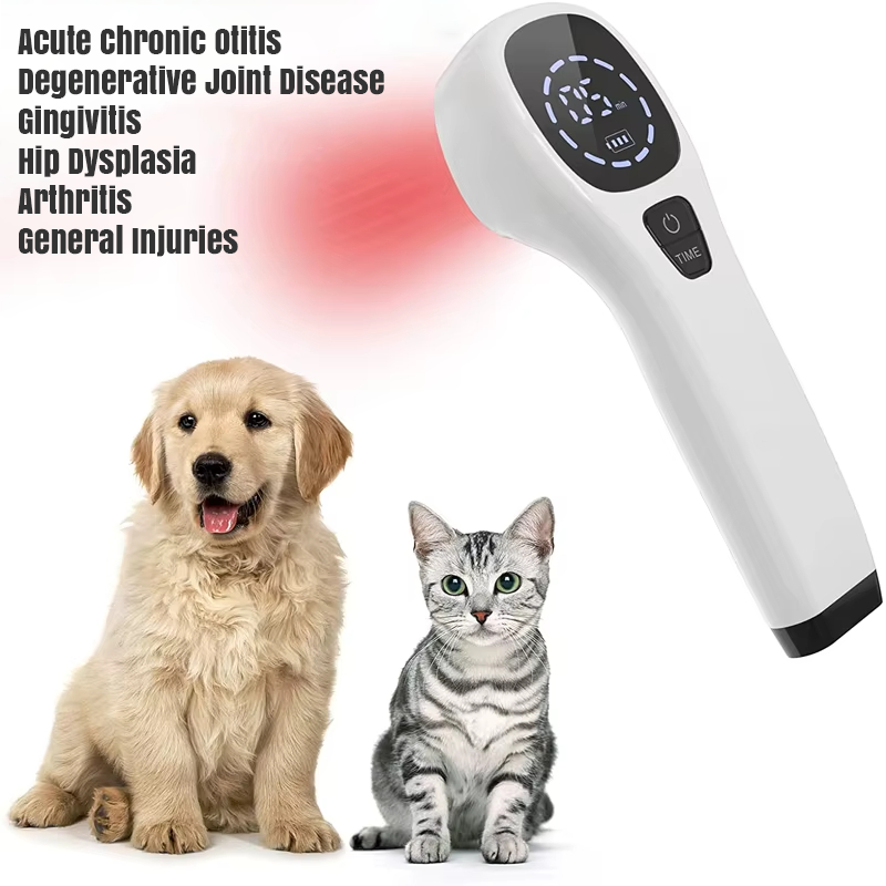 Dernox Low Level Laser Therapy Device